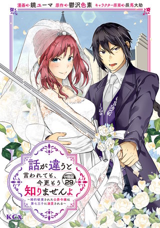 話が違うと言われても、今更もう知りませんよ ～婚約破棄された公爵令嬢は第七王子に溺愛される～ 分冊版(29)