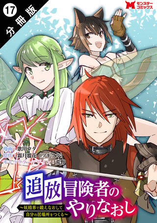 追放冒険者のやりなおし～妖精界で鍛えなおして自分の居場所をつくる～(コミック) 分冊版(17)