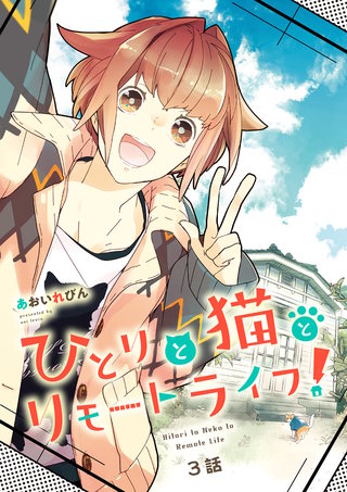 ひとりと猫とリモートライフ！(3)