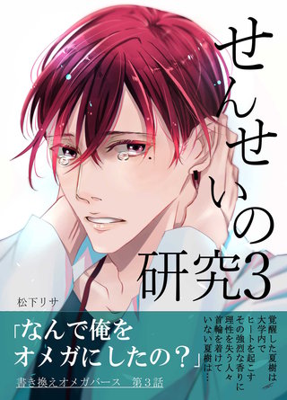 せんせいの研究(3)