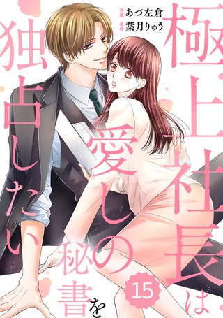 comic Berry’s極上社長は愛しの秘書を独占したい(15)