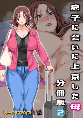 息子に会いに上京した母 分冊版(2)