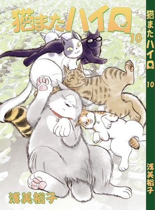 猫またハイロ(10)