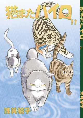 猫またハイロ(11)