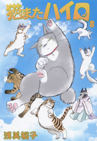 猫またハイロ(8)