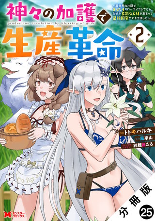 神々の加護で生産革命～異世界の片隅でまったりスローライフしてたら、なぜか多彩な人材が集まって最強国家ができてました～(コミック) 分冊版(25)