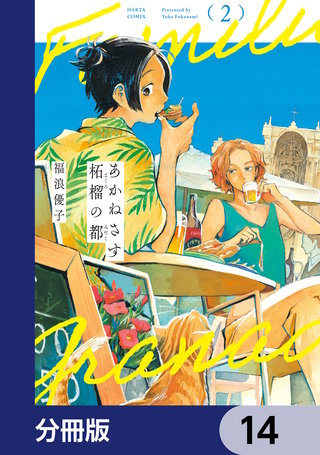 あかねさす柘榴の都【分冊版】 14