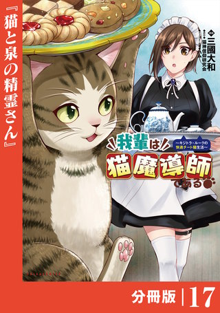 我輩は猫魔導師である～キジトラ・ルークの快適チート猫生活～【分冊版】（ポルカコミックス）(17)