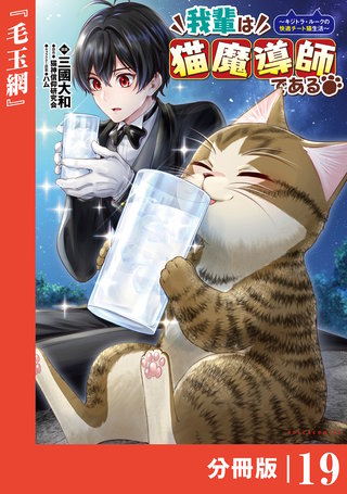 我輩は猫魔導師である～キジトラ・ルークの快適チート猫生活～【分冊版】（ポルカコミックス）(19)