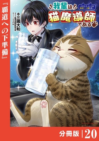我輩は猫魔導師である～キジトラ・ルークの快適チート猫生活～【分冊版】（ポルカコミックス）(20)