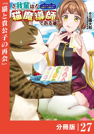 我輩は猫魔導師である～キジトラ・ルークの快適チート猫生活～【分冊版】（ポルカコミックス）２７