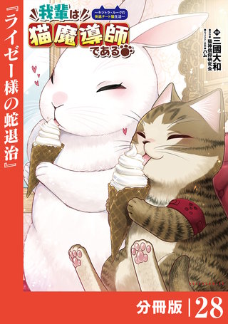 我輩は猫魔導師である～キジトラ・ルークの快適チート猫生活～【分冊版】（ポルカコミックス）２８