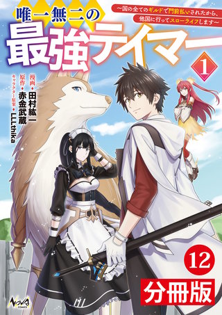唯一無二の最強テイマー～国の全てのギルドで門前払いされたから、他国に行ってスローライフします～【分冊版】（ノヴァコミックス）(12)