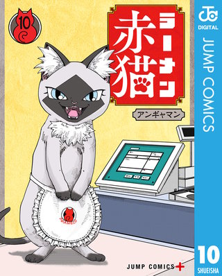 ラーメン赤猫 10
