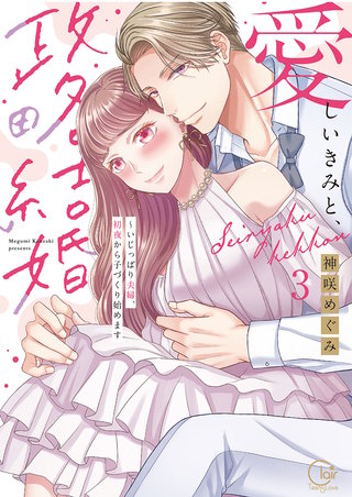 愛しいきみと、政略結婚～いじっぱり夫婦、初夜から子づくり始めます【単行本版】3【特典ペーパー付き】