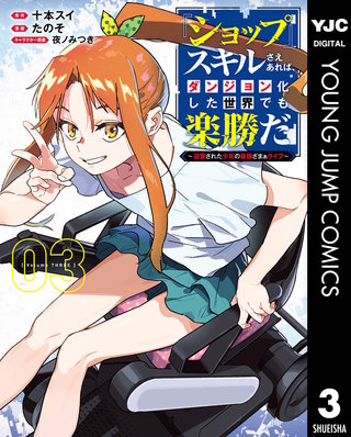 『ショップ』スキルさえあれば、ダンジョン化した世界でも楽勝だ ～迫害された少年の最強ざまぁライフ～(3)