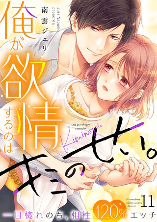 俺が欲情するのはキミのせい。一目惚れのち、相性120％エッチ１１
