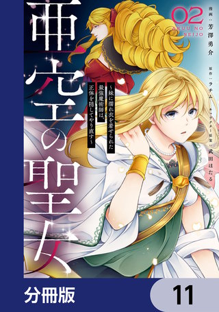 亜空の聖女 ～妹に濡れ衣を着せられた最強魔術師は、正体を隠してやり直す～【分冊版】　11