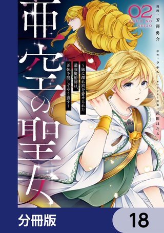 亜空の聖女 ～妹に濡れ衣を着せられた最強魔術師は、正体を隠してやり直す～【分冊版】　18