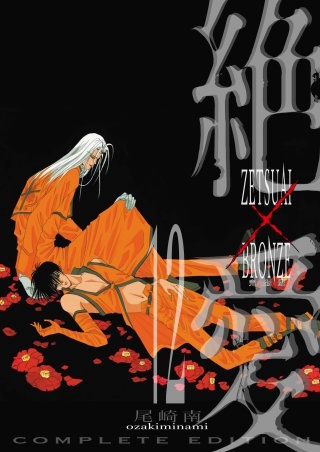 絶愛／BRONZE 完全版(12)