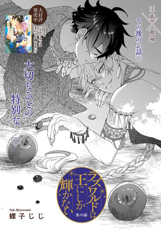 ラズワルドは王にしか輝かない 番外編