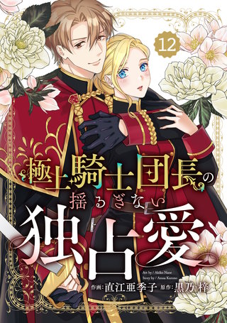 Berry'sFantasy極上騎士団長の揺るぎない独占愛(12)