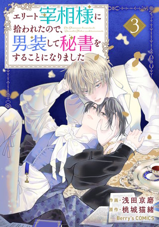 エリート宰相様に拾われたので、男装して秘書をすることになりました(3)