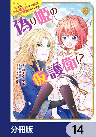 偽り姫の仮護衛!? ワンコ系少女騎士はワケあり主に（密かに）溺愛されています【分冊版】　14