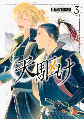 天駆け(3)