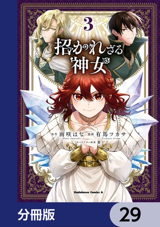 招かれざる神女【分冊版】　29
