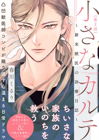 小さなカルテ～新米獣医の診療日誌～(2)