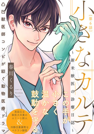 小さなカルテ～新米獣医の診療日誌～(6)