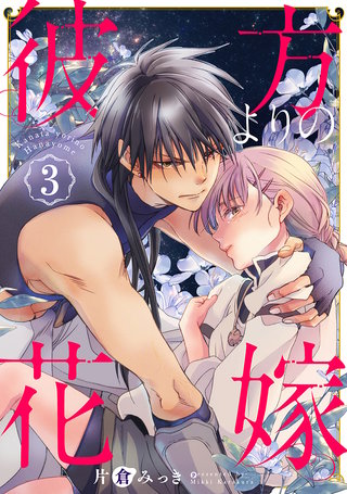 彼方よりの花嫁(3)