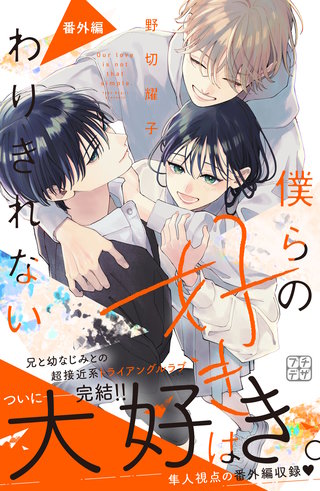 僕らの好きはわりきれない プチデザ(27)