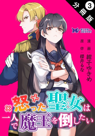 怒った聖女は一人で魔王を倒したい(コミック) 分冊版(3)