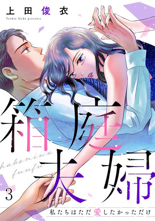 箱庭夫婦～私たちはただ愛したかっただけ～(3)