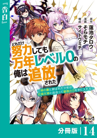 どれだけ努力しても万年レベル0の俺は追放された～神の敵と呼ばれた少年は、社畜女神と出会って最強の力を手に入れる～【分冊版】（ノヴァコミックス）(14)