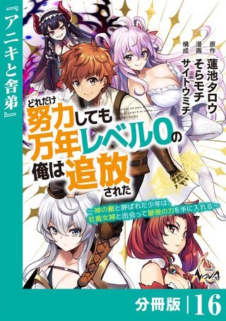どれだけ努力しても万年レベル0の俺は追放された～神の敵と呼ばれた少年は、社畜女神と出会って最強の力を手に入れる～【分冊版】（ノヴァコミックス）(16)