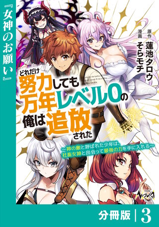 どれだけ努力しても万年レベル0の俺は追放された～神の敵と呼ばれた少年は、社畜女神と出会って最強の力を手に入れる～【分冊版】（ノヴァコミックス）(3)