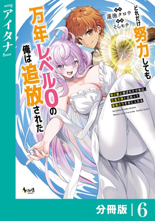 どれだけ努力しても万年レベル0の俺は追放された～神の敵と呼ばれた少年は、社畜女神と出会って最強の力を手に入れる～【分冊版】（ノヴァコミックス）(6)