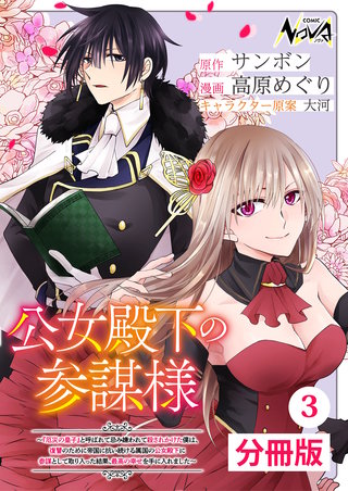 公女殿下の参謀様~『厄災の皇子』と呼ばれて忌み嫌われて殺されかけた僕は、復讐のために帝国に抗い続ける属国の公女殿下に参謀として取り入った結果、最高の幸せを手に入れました~【分冊版】(ノヴァコミックス)(3)