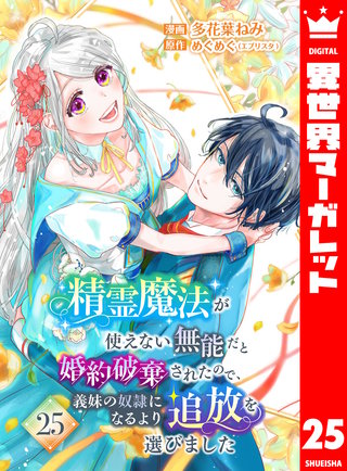 精霊魔法が使えない無能だと婚約破棄されたので、義妹の奴隷になるより追放を選びました 25