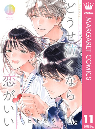 どうせ泣くなら恋がいい 11