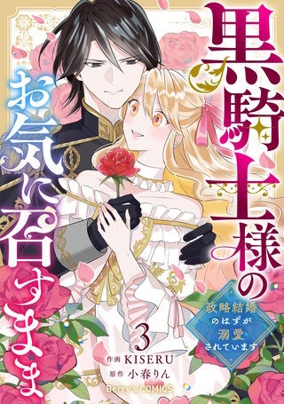 黒騎士様のお気に召すまま～政略結婚のはずが溺愛されています～(3)
