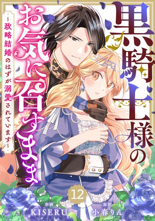 Berry'sFantasy黒騎士様のお気に召すまま～政略結婚のはずが溺愛されています～(12)
