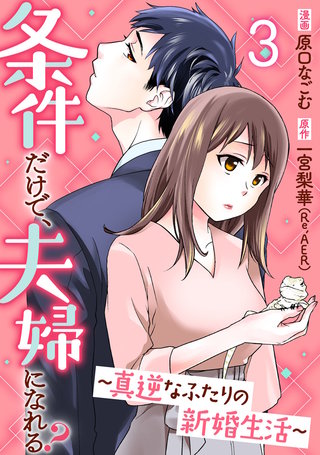 条件だけで、夫婦になれる?~真逆なふたりの新婚生活~(3)