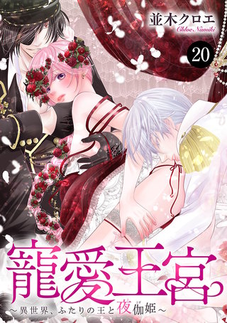 寵愛王宮～異世界、ふたりの王と夜伽姫～　２０