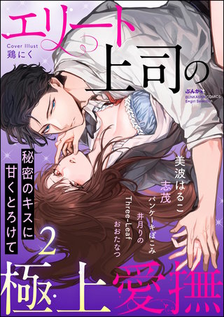 エリート上司の極上愛撫 秘密のキスに甘くとろけて(2)
