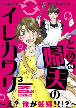 とある婦夫のイレカワリ～え? 俺が妊婦!!!?～(3)
