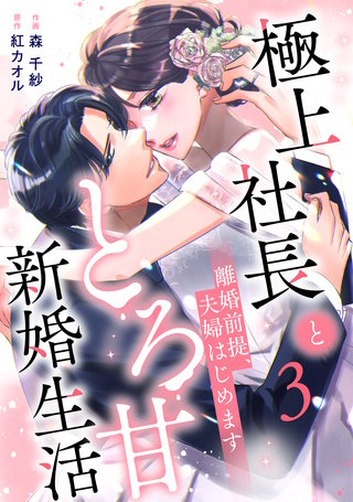 離婚前提、夫婦はじめます~極上社長ととろ甘新婚生活~(3)